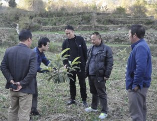 省农发会调研组深入凉山州调研乡村振兴