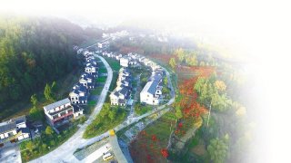 恩阳：争当建设川陕革命老区振兴发展示范区排头兵