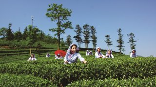 筠连县：从春风精神到筠连模式