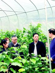 激活“人地钱”要素宜宾乡村振兴实践走在全省前列