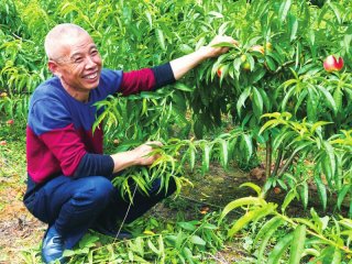 简阳“四合一”改革  推进农村整体提升