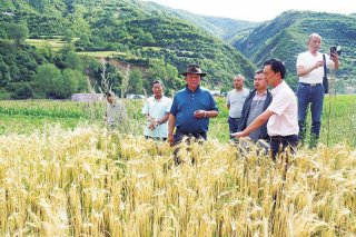 阿坝州：立足生态优势  发展现代农牧业