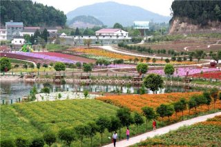 西充建成国内首个亚洲有机示范村