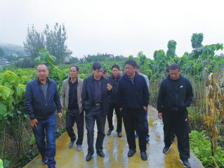 凉山州：推进乡村振兴 提高农业竞争力