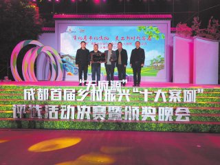 徐刚（中）代表丙灵村领奖