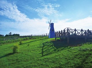 蒲江炉坪村建成猕猴桃国际公园