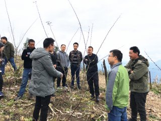 四川农村发展促进会花椒产业专委会下沉式服务得到广泛好评