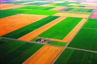 中共中央国务院关于保持土地承包关系稳定并长久不变的意见