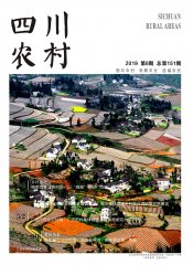 2019年第6期