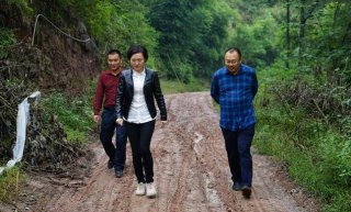 东经西念  平昌“轻装”女县长连心架桥立足当地产业做“加法”