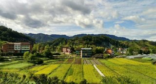 通川区：创新农村集体产权制度改革  “四强四抓三增”释放农村产