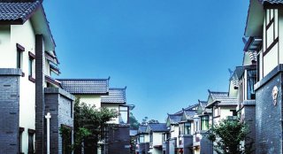 双流区彭镇 实施“三大行动”打造“富美乡村”