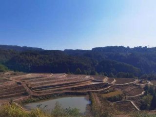 通川区：设施为基破瓶颈  靶向发力助提升