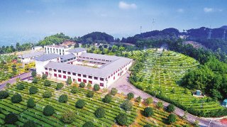高县全面消除绝对贫困实现高质量脱贫摘帽侧记
