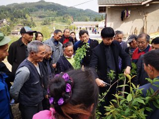 达州市通川区：试点培育新型职业农民  全力构筑乡村人才引擎