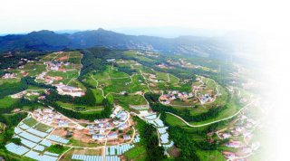 广元市昭化区：步履铿锵  逐梦小康