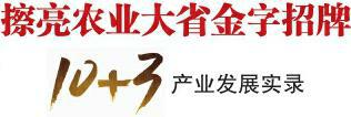 简阳市狠抓“四化”建设，提升执法效能