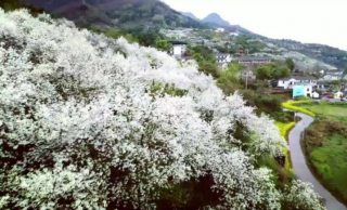 绵竹市推进一二三产业融合 助力乡村振兴