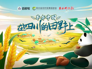 四川省农村发展促进会携手百度助力乡村振兴
