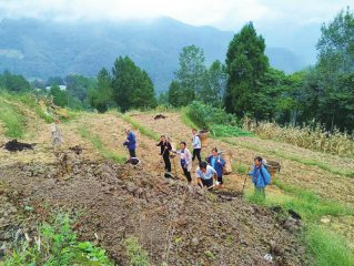青川县关庄镇 “两项改革”引领经济发展绿色种养循环保驾护航