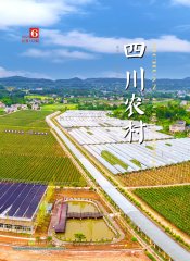 2021年第6期