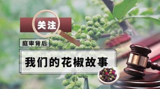 震动业界的“青花椒”案，引发全社会聚“椒”