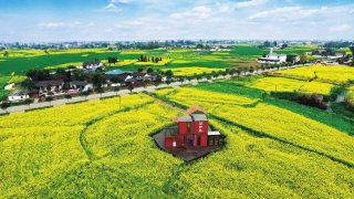 德阳：三农，是“重装之都”更深厚的表达