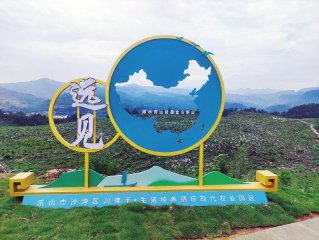 沙湾：因地制宜打造乡村振兴“山区样板”