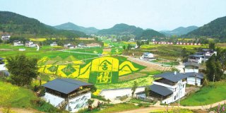 射洪 ：“特色”执笔绘就现代农业新画卷