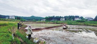 我省“三夏”生产逐渐进入高峰
