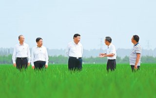 总书记抓起了一把米