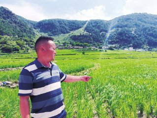 打造“天府第二粮仓”  凉山如何布子