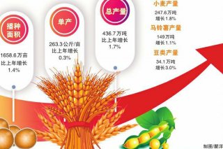 今年我省夏粮总产量436.7万吨