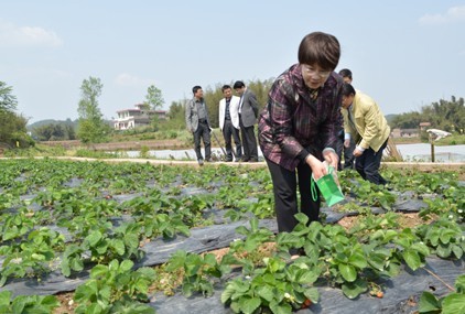 点击浏览下一页