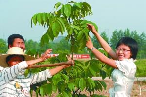 点击浏览下一页