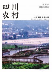 2019年第3期