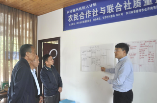 授课老师杨爱军