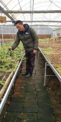  80后小伙返乡种植中药材 带领乡亲们实现致富梦
